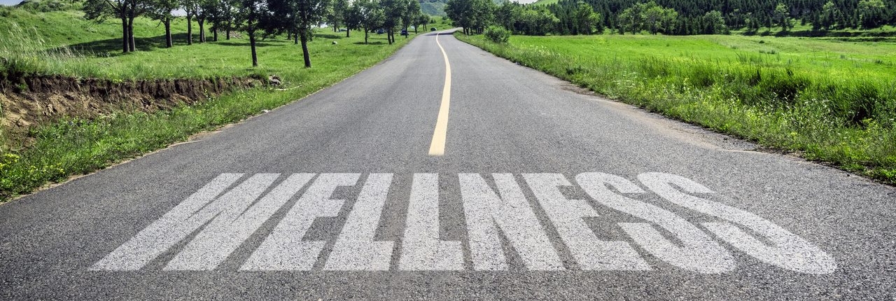 Road near lush green land with wellness written on the road. You are capable of recovery, healing, and confidence. Work with a skilled online therapist in Florida and find the peace you desire. Whether its eating disorders, play therapy, anxiety, and more. Online therapy can give you relief.