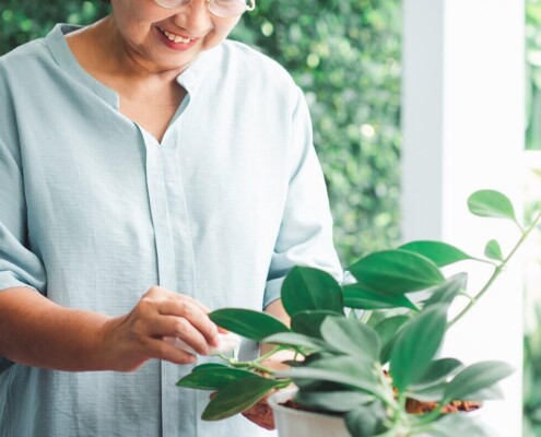Woman tending to plants mindfully. Mindfulness for beginners in Florida is a great tool to manage stress, anxiety, and trauma. See how online therapy in florida can help you.