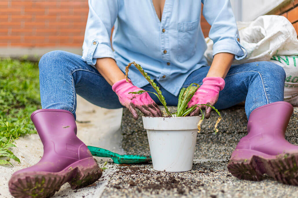 Woman planting flower in a pot. If you’re dealing with chronic migraines and need support coping, working with an online life coach can help. Get in touch to begin coaching for chronic pain in Florida, Texas, Nationwide/ Internationally