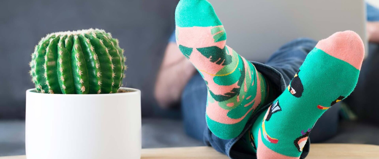 Feet with colorful fun socks up on a table and next to a cactus