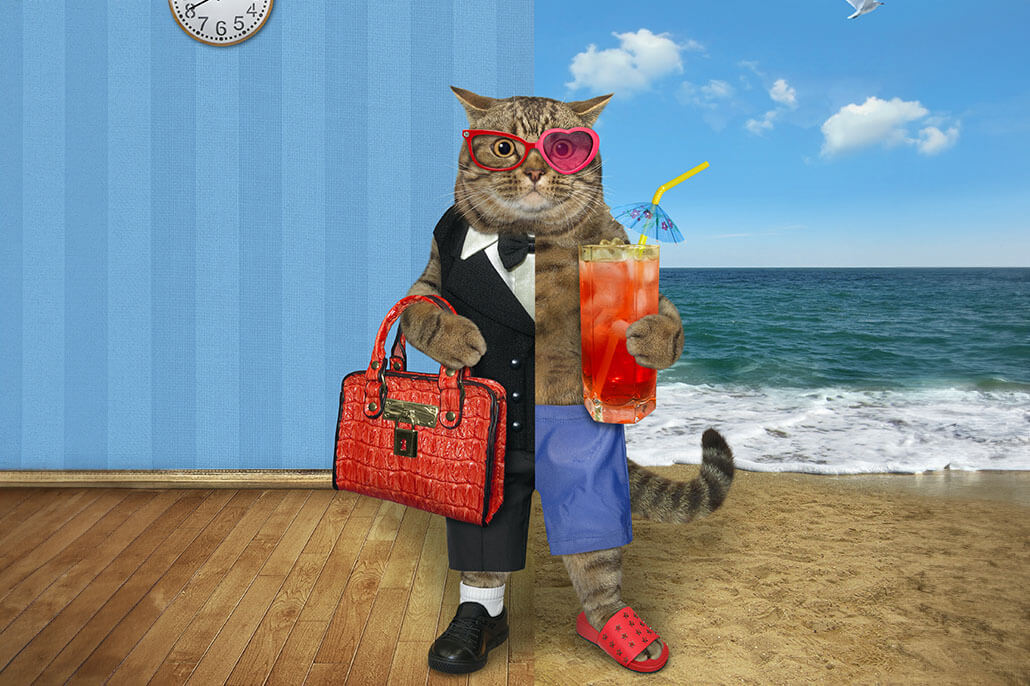Fun cat illustration. Have in business attire and half in vacation attire