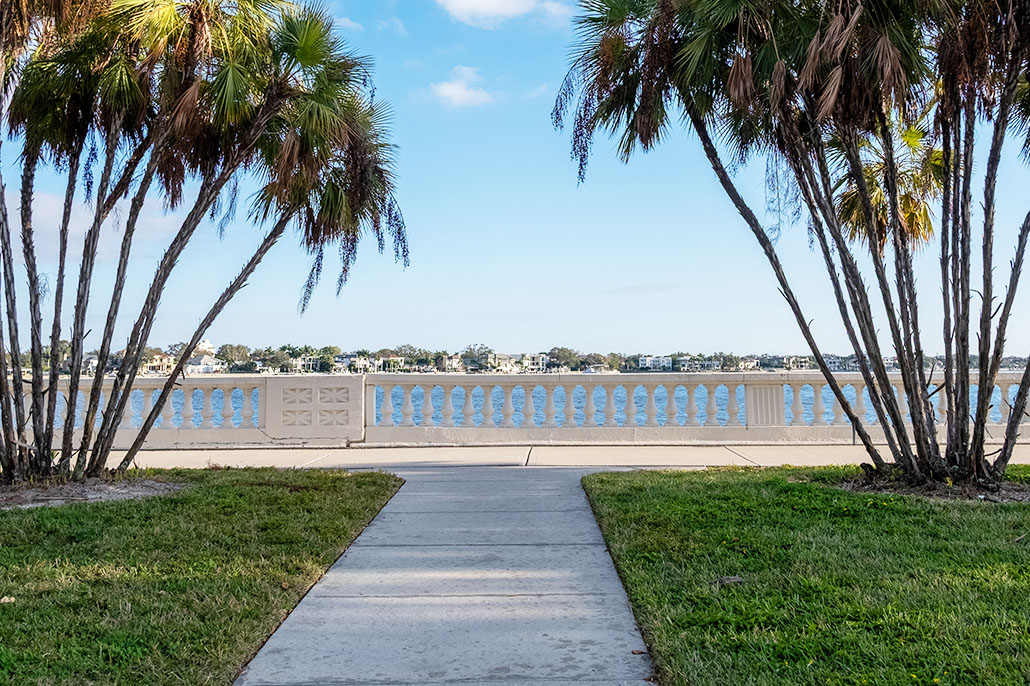 Twin palms frame the entrance to Bayshore Boulevard, a favorite walk and talk therapy route.