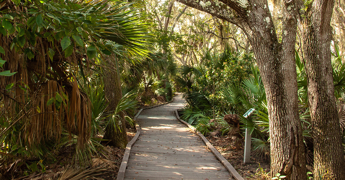 Outdoor walk and talk therapy path on the shaded boardwalk at Merritt Island National Wildlife Refuge in Merritt Island, Florida